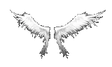 Wings of Heaven